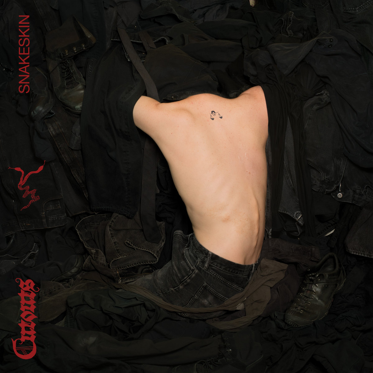 Album art for Snakeskin by cutouts