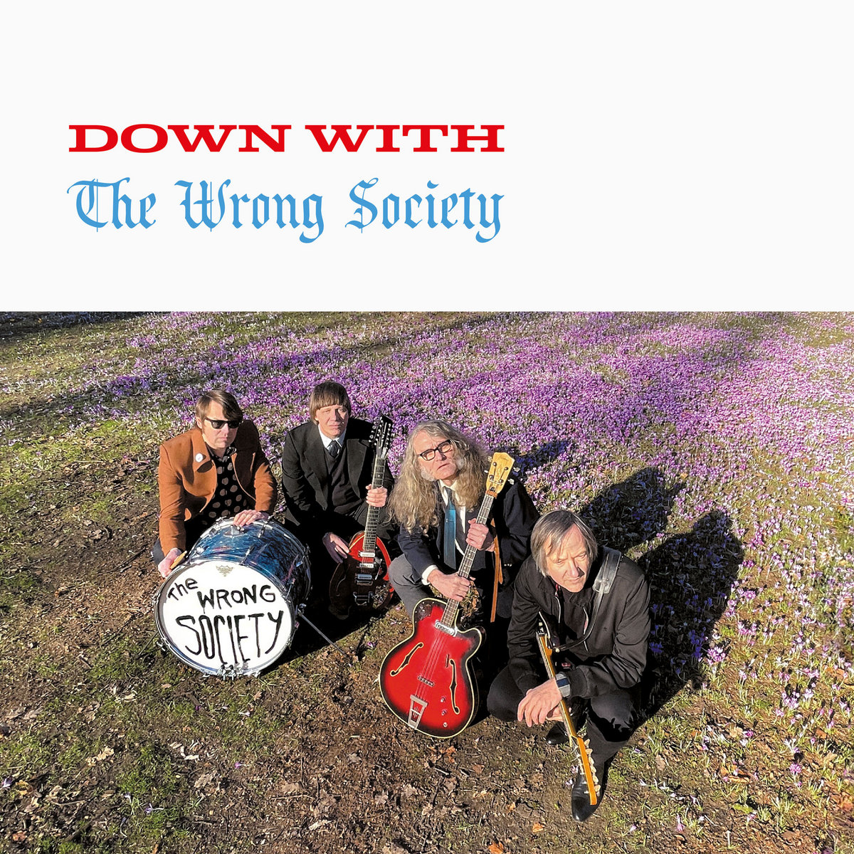 Album art for Down With by The Wrong Society